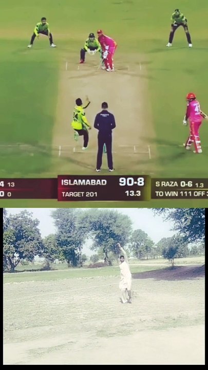 Stunning Bowled Dismissals in Cricket