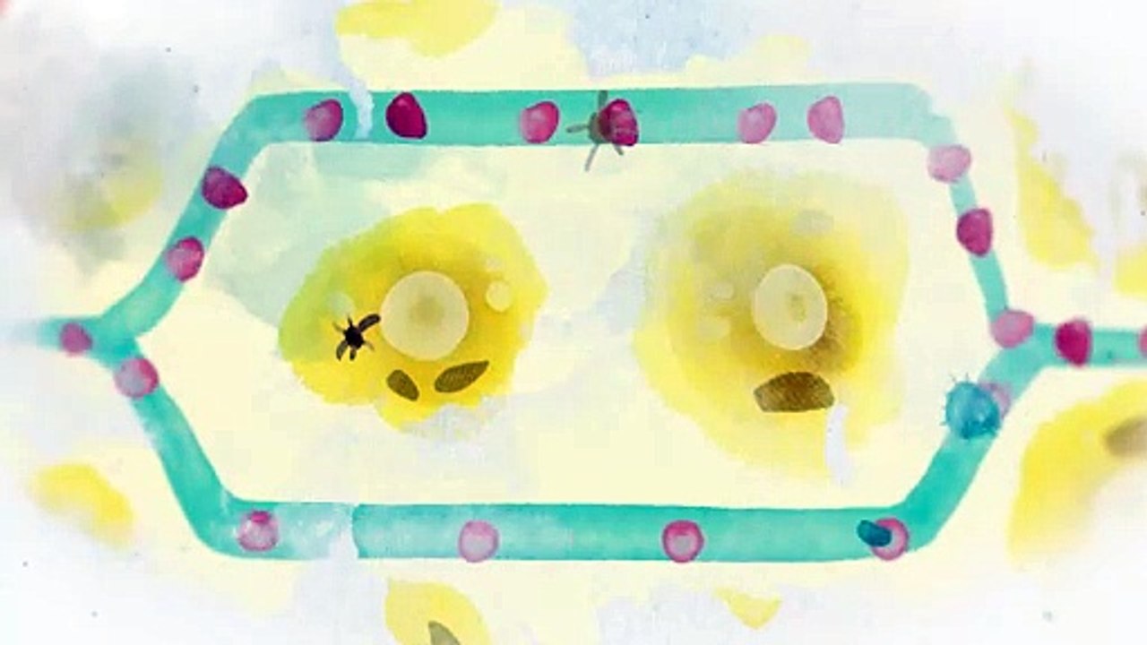 Dr. Werchan: Zellstoffwechsel (DE)