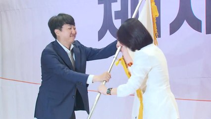 개혁신당 새 당대표에 허은아..."돌풍 일으키겠다" / YTN