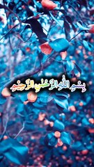 Islamic video quran recitation tilawat e quran