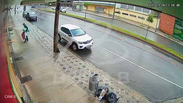 Cão de morador em situação de rua é atropelado e motorista foge sem prestar socorro em Curitiba
