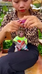 Baby monkey| full enjoymint| funny|funnyvideo