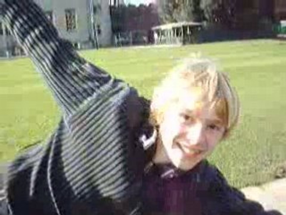 Canards Anglaiis euuh Gallois plutot