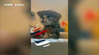 Ördekleriyle banyo yapan tatil modundaki sevimli kedi sosyal medyayı salladı