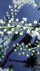 Importance of Praying for Forgiveness for the Deceased/The perfect gift for the bereaved