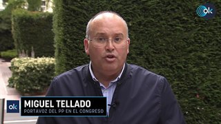 El PP acusa a Sánchez de atacar a Milei para «movilizar al electorado al que ya no convence el PSOE»