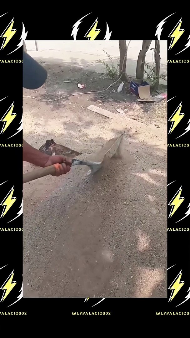 Funny Memes Video  Most Funny Memes Video