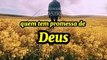 Músicas Gospel#musicagospel #gospel #louvor #viral #fycristao #fé #Deus #hino #maistocadas2024