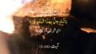 Surah Al Balad Beautiful Ayat With Urdu Translation | Beautiful Quran Surah Al Balad Beautiful Translation| Short Video Status