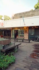 שלחמך-איך באלי פיצה