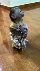 Monkey Love with monkey baby ❤️❤️❤️