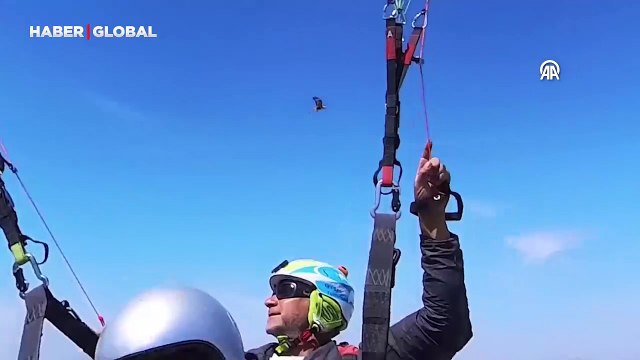 Kızıl şahinlerin yamaç paraşütü ve drona saldırısı heyecan yarattı