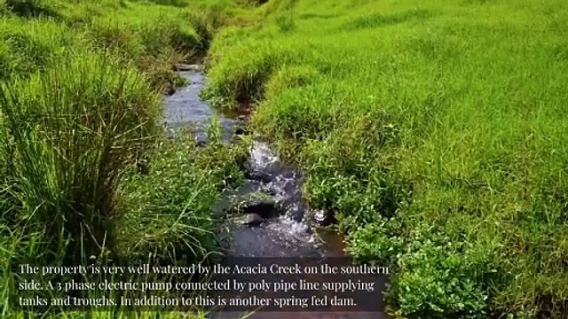 Verdant Hills, Legume | May 20, 2024 | Farmonline