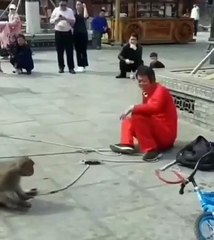 A monkey threatens a man with a white gun