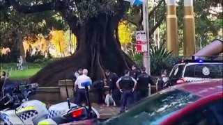 Knife wielding man, 33, arrested after allegedly stabbing police officer in Sydney CBD