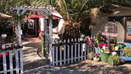 VEGAN MUKBANG (EATING SHOW)  AMAZING COUPLE EATS LUNCH!