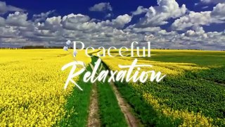 Beautiful Relaxing Music - Peaceful Soothing Instrumental Music, Stress Relief, Deep Focus Music (1080p_60fps_H264-128kbit_AAC)