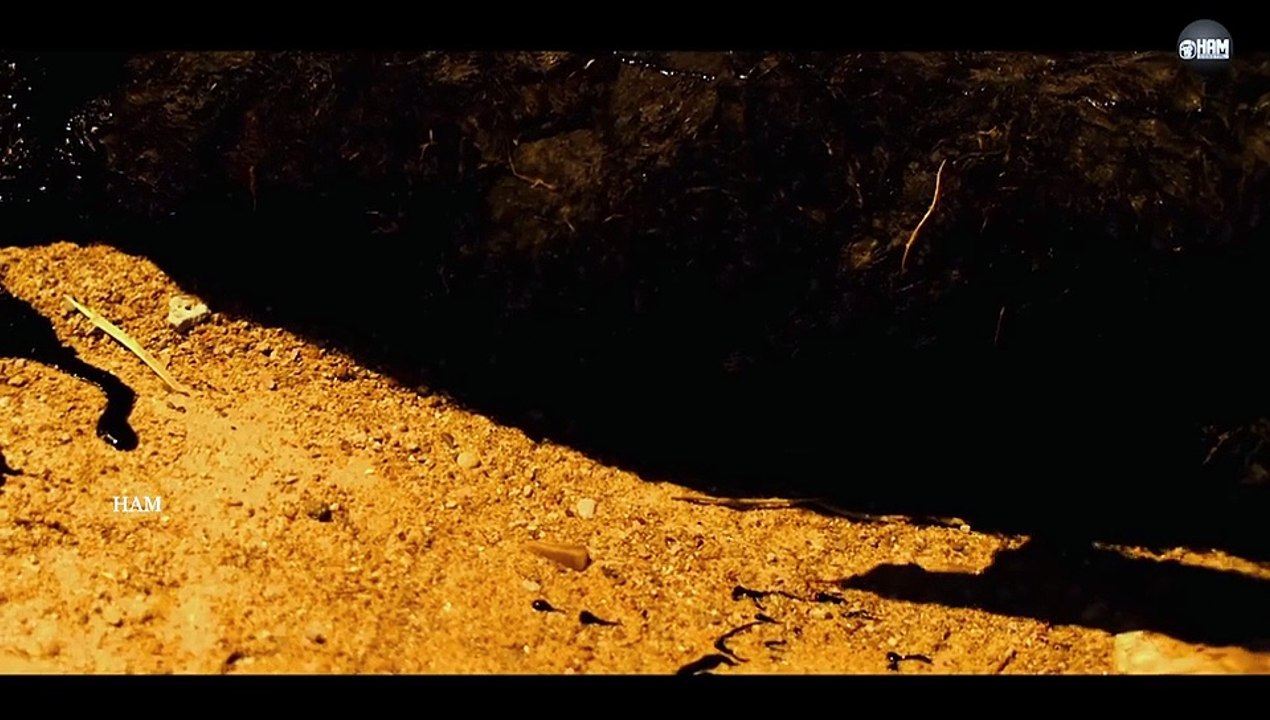 Hollywood horror movie village hollywood release hindi dubbed movie sherrie prose horror movies