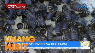 World Bee Farm Day with Queen Bee?! | Unang Hirit