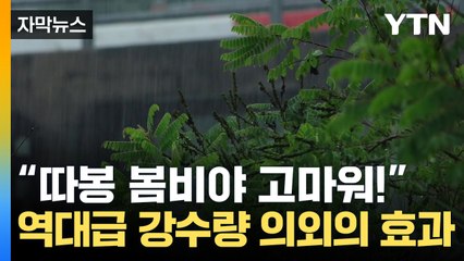 [자막뉴스] 비 많이 온다고 불평했는데...봄비 덕분에 '이것' 줄었다 / YTN
