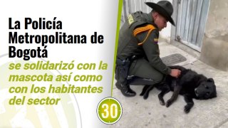 Policía rechaza ataque contra perrita protagonizada por dos uniformados