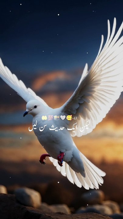 Tension Free Hadees |Beautiful Hadees Mubarak| حدیث مبارک | Beautiful Short Islamic Status | #shorts