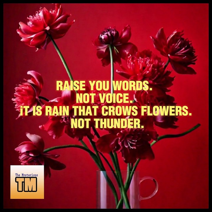 Raise_Your_VOice