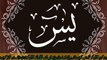 Surah Yasin (Yaseen) | Most beautiful recitation of Surah Yaseen (Yasin) | shahzainali Islamic Channel |سورة يس