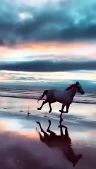 Arbey interesting video nice video 