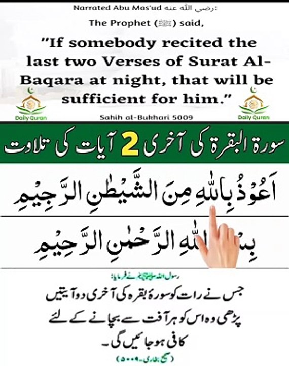 SURAH AL BAQARAH LAST TWO 2 VERSES I DAILY QURAN 