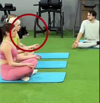 Yoga Lovers Funny Video