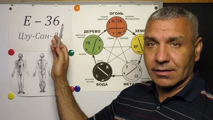 Точка Коленного Сустава