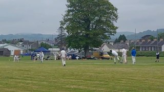 Cricket returns to Lampeter for the first time in 12 years as they host Aberaeron
