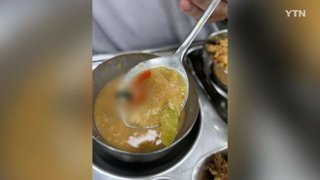천안 모 고교 급식에 파리...학교 재발 방지 대책 마련 / YTN