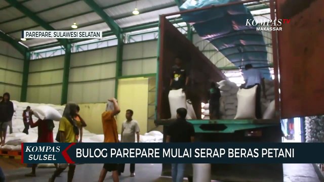 Bulog Pare Pare Mulai Serap Beras Petani