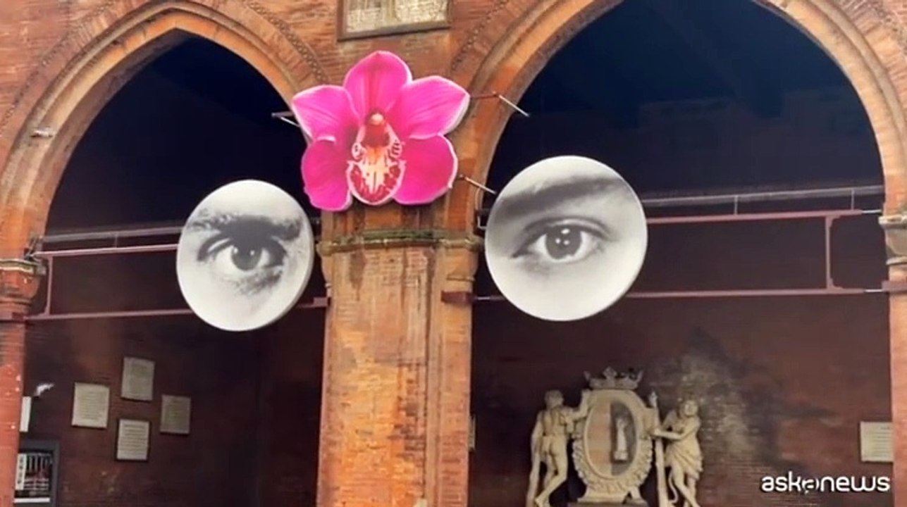 Torna Cremona Contemporanea, Rossella Farinotti ce la racconta