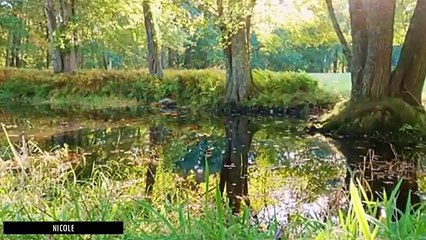 MUSIQUE DOUCE JOUE AU PIANO ACOUSTIQUE