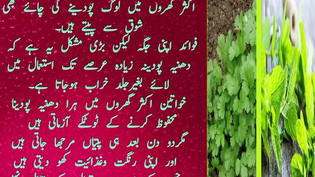 How to take fresh coriander and mint | Best home remedy