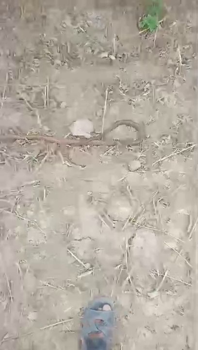 VID-20240504-WA0000