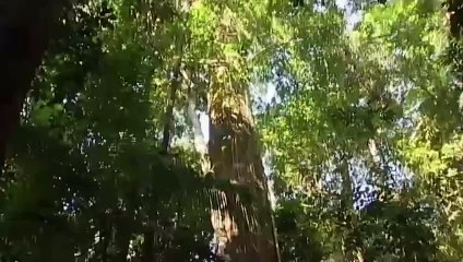 España agota hoy todos los recursos naturales que le corresponden para este año