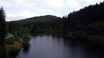 FOREST CREEK Nature Sounds | (For stress relief, relaxation & sleeping.Relaxing White Noise)