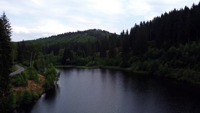 FOREST CREEK Nature Sounds | (For stress relief, relaxation & sleeping.Relaxing White Noise)