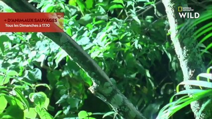 TEST-Real time indicators - 20-05-2024