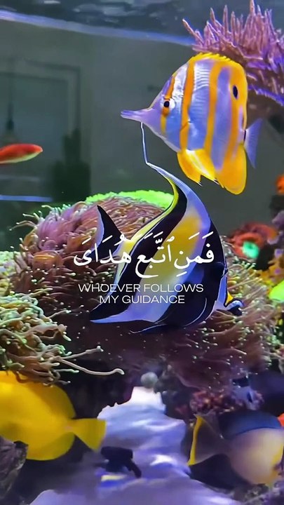 #quran_#ramdan_#muslim(480P)