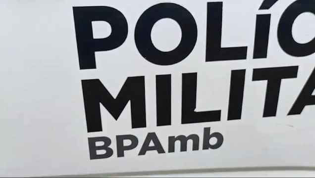 Após denúncia, Polícia Ambiental realiza vistoria e encontra sete aves nativas em casas de Iporã