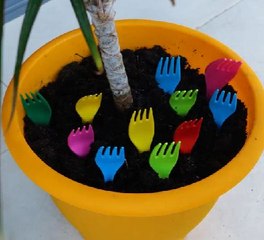 Easy hacks to keep your plants safe & healthy!