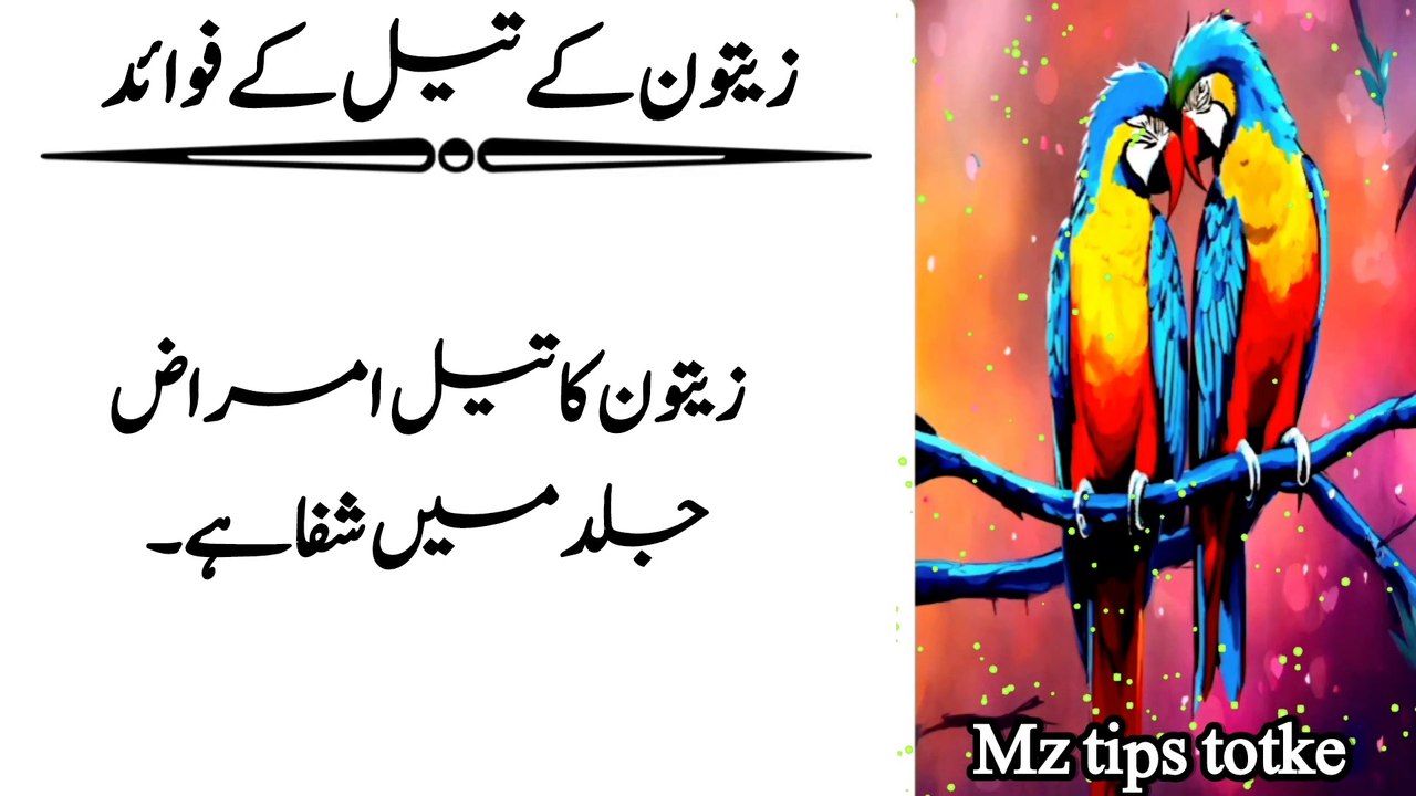 zaitoon ke fayde || zaitoon oil ke fayde 2024 || zaitoon khane ke fayde ] mz tips totke