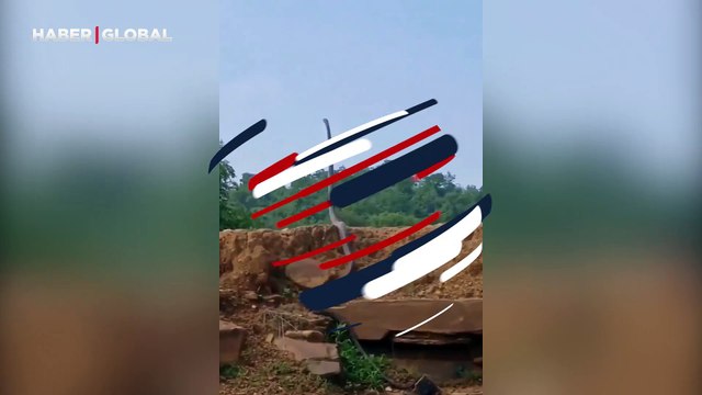 Uzun boylu kral kobra ayağa kalktı, göğe selam durdu