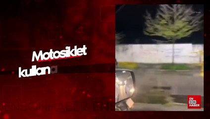 Motosiklet kullanan köpek kamerada