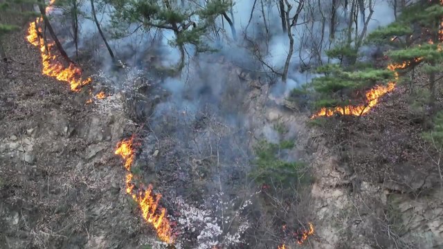 [경북] 경북지역 올해 산불 발생 전년보다 74% 줄어 / YTN